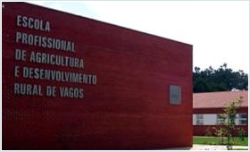 Escola