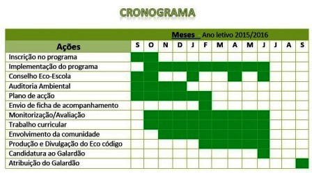 cronograma